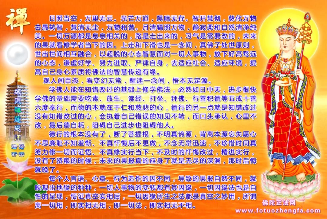 最新佛法開示揭秘，小巷深處的禪意寶藏探尋
