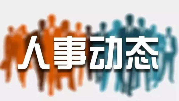 長治市人事任免信息解析，日常故事與任免動態(tài)