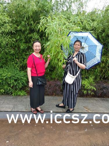 最新美女圖片，時代印記與文化的鏡像展現(xiàn)