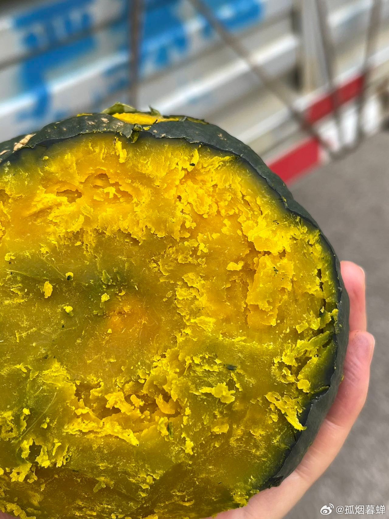 鉤花新品速遞，一場與自然的美麗遨游之旅
