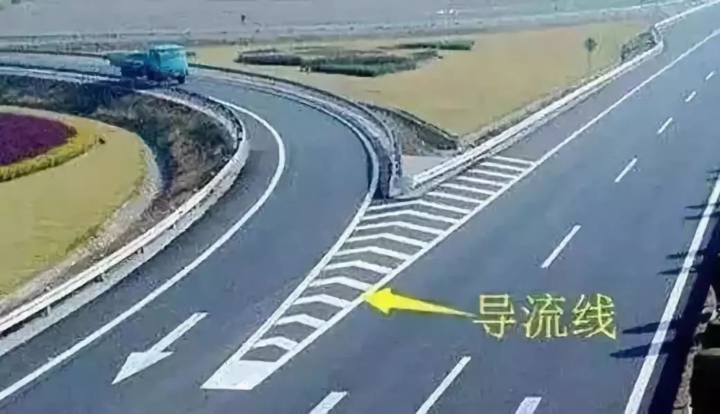 成金青快速路最新動(dòng)態(tài)，日常趣事與情感紐帶揭秘