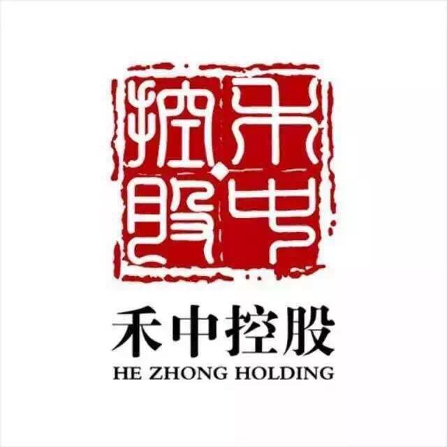 禾中控股集團最新消息概覽，權威指南發(fā)布