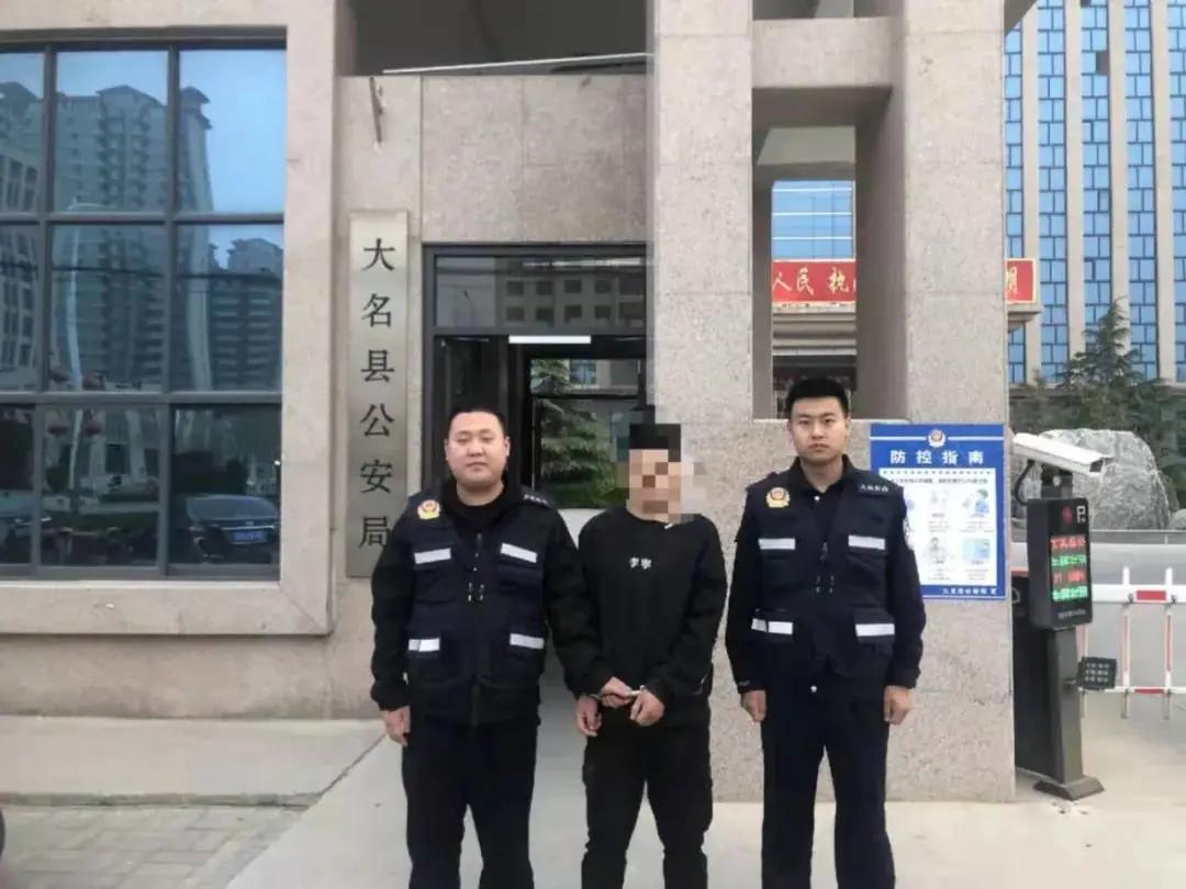 大名出租房屋最新動(dòng)態(tài)，全面指南與最新消息