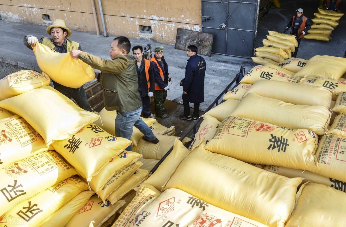 全國尿素最新價格，科技重塑生活下的新面貌