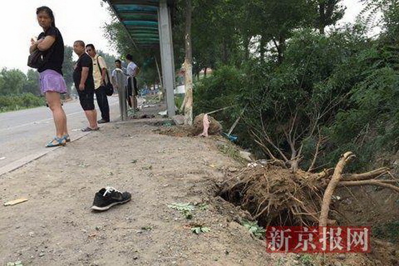 房山車禍真相揭秘，最新消息與各方觀點匯總