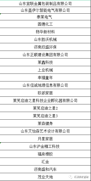 萊蕪金點(diǎn)子招聘，引領(lǐng)科技潮流，打造智能未來生活招聘新體驗(yàn)