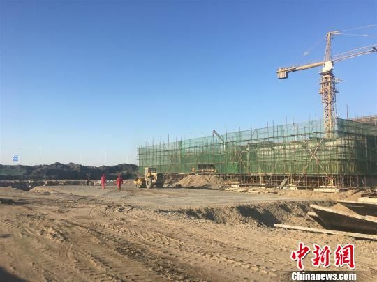 唐山豐南港最新動(dòng)態(tài)，港口邊的溫情故事