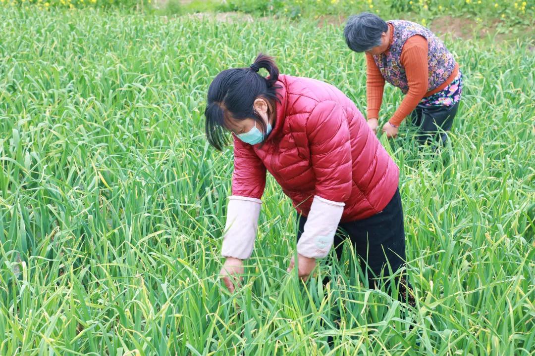 徐州豐縣最新招工信息一覽，獲取指南與招聘信息匯總