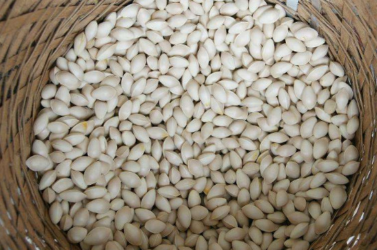 湖北麻城白果最新資訊更新